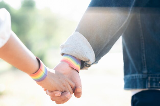 Par de Lgbt, andando de mãos dadas no parque.