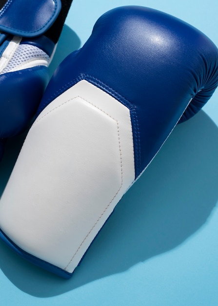 Par de luvas para esporte de boxe