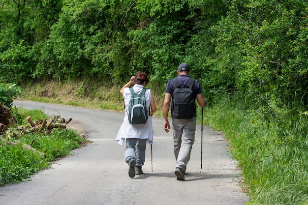 Un par de excursionistas mayores caminando por un sendero a través del bosque