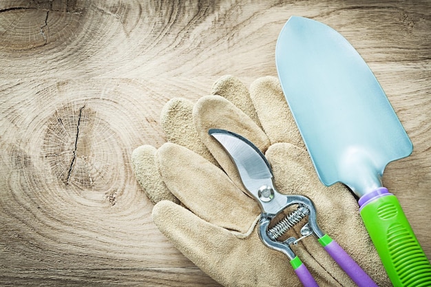 Par de guantes de trabajo tijeras de podar pala en concepto de agricultura de tablero de madera.