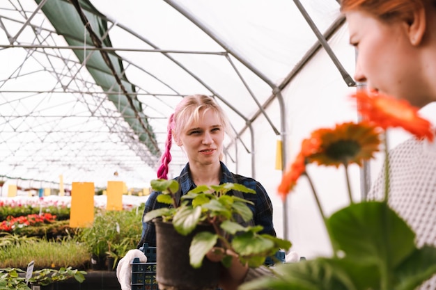 Un par de mujeres jardineras y clientes eligen plantas en un invernadero profesional de un centro comercial de jardines