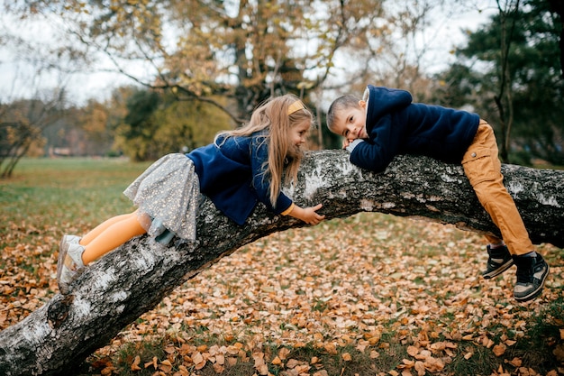 Un par de niños en el arbol.