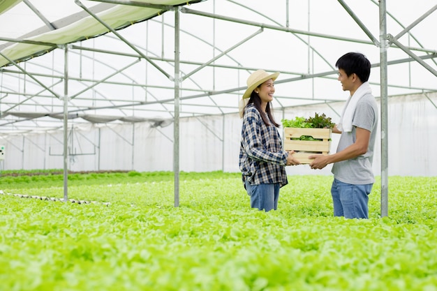 Par recogiendo juntos vegetales hidropónicos en la granja