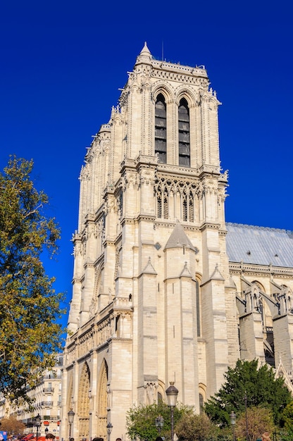 PARÍS FRANCIA 15 DE ABRIL DE 2019 Catedral de Notre Dame de Paris Francia arquitectura gótica