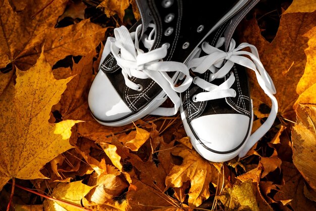 Par de zapatillas en hojas caídas en el parque de otoño vista de cerca