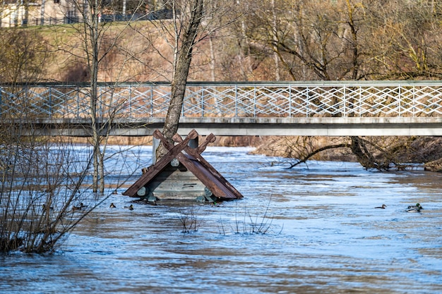 Para o telhado inundado na primavera inunda o alimentador da casa de pássaros no rio perto da ponte pedonal