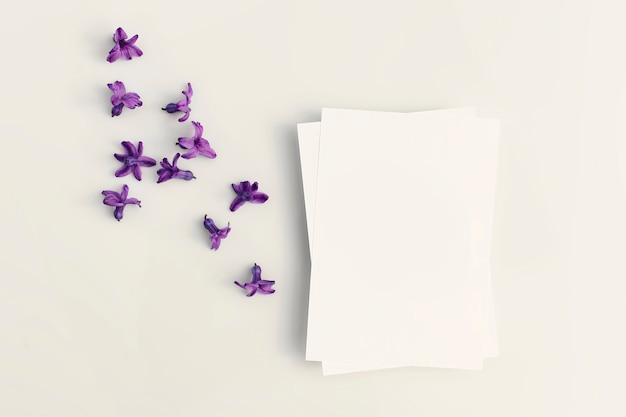 Foto parabéns em branco ou convite com dispersão de flores de jacinto e sombras duras