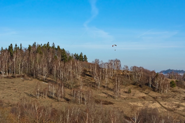 Foto paracaidista en el cielo sobre los árboles que crecen en la ladera de la montaña a principios de primavera