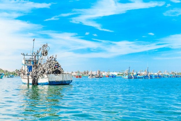 Paracas Perú