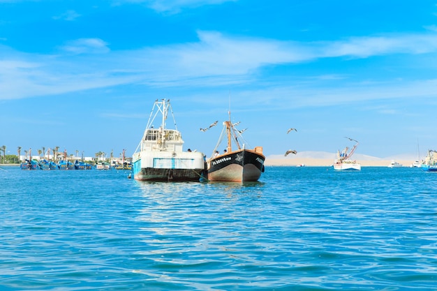 Paracas Perú