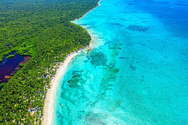 Paradies tropische Insel Natur Hintergrund. Top-Luftdrohnenansicht des schönen Strandes mit türkisfarbenem Meerwasser und Palmen. Insel Saona, Dominikanische Republik.