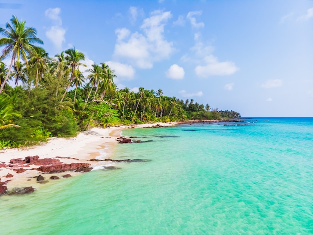 paradiesische Insel mit kristallklarem Wasser