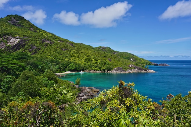 Paradiesstrand auf den Seychellen, umgeben von Wäldern