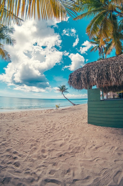 Foto paradiesstrand in der karibik