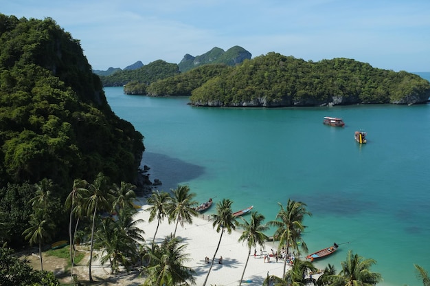 Paradise beach tailandia palmeras