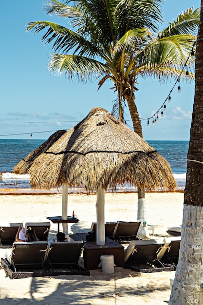 Paradise Beach en Tulum, sombrillas y tumbonas en la playa, Tulum, México