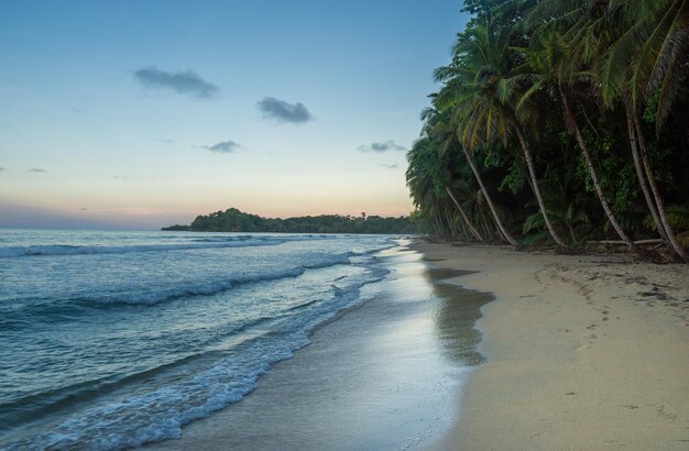 paradisíaca praia