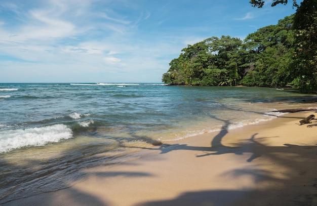 paradisíaca praia