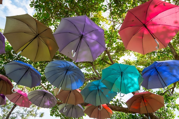 Paraguas de colores decoración colgar en el árbol con fondo de cielo