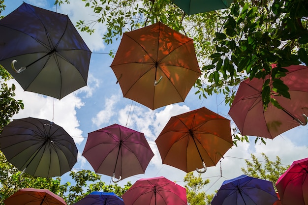 Paraguas de colores decoración colgar en el árbol con fondo de cielo