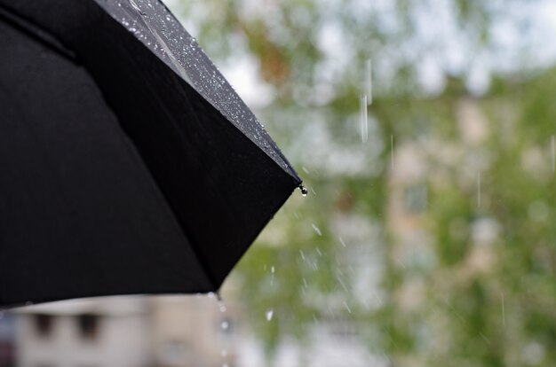 Paraguas y gotas de lluvia closeup