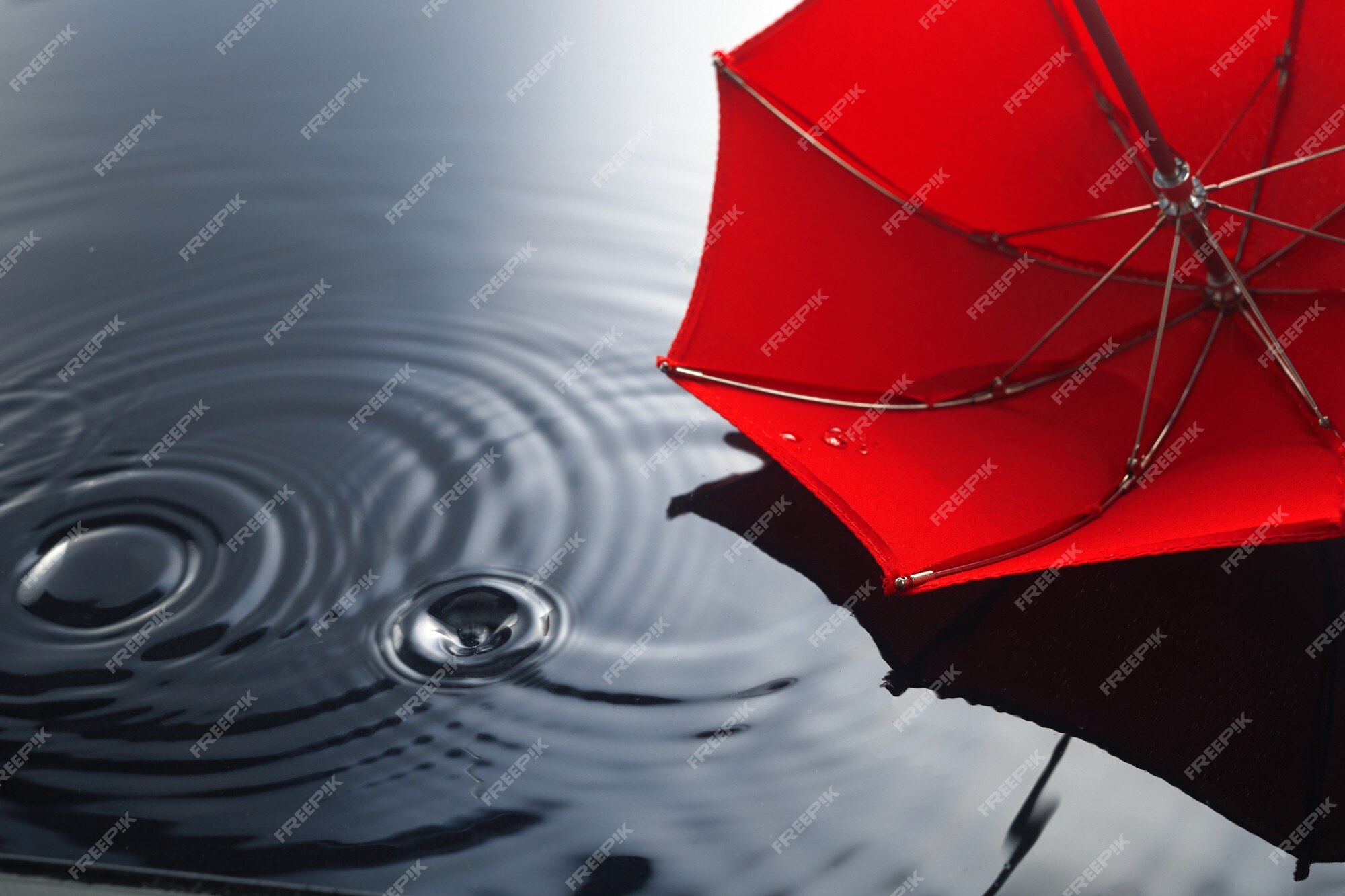 bajo la lluvia. charco. concepto de fondo de otoño. | Foto Premium