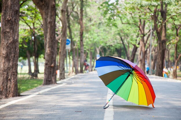 Paraguas multicolores descansando en el pavimento