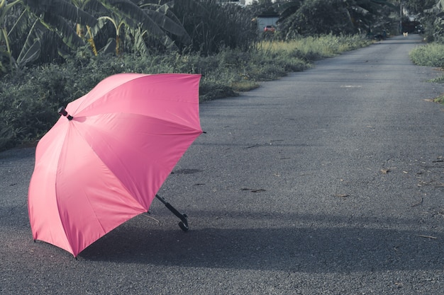 Paraguas rosado en piso de concreto y campo de hierba verde en el parque