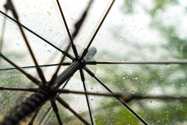 Paraguas transparente bajo la lluvia con gotas de lluvia