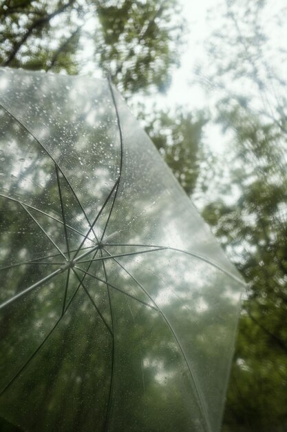 Paraguas transparente con salpicaduras de gotas de agua Tema de la lluvia de verano en el bosque