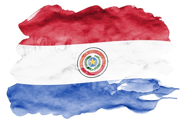 Paraguay-Flagge wird in der flüssigen Aquarellart dargestellt, die auf Weiß lokalisiert wird