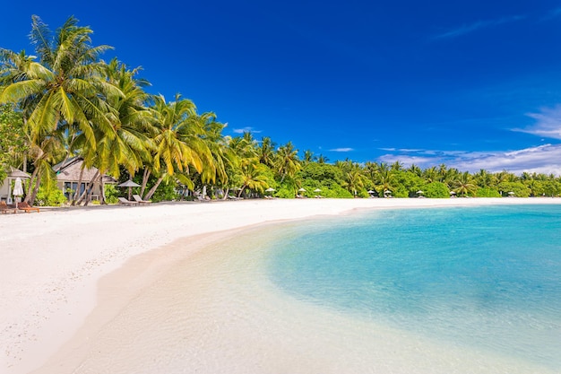 Paraíso playa soleada arena blanca, cocoteros y mar turquesa en isla tropical. Vacaciones de verano