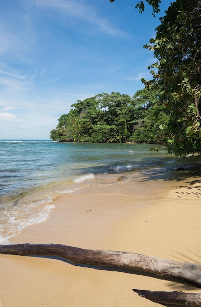 paraíso de playa