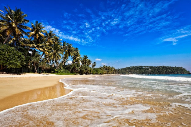 Paraíso tropical praia idílica Sri Lanka