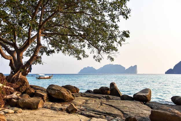 Paraíso tropical praia Tailândia lagoa de paisagem