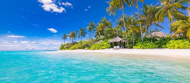 Paraíso tropical praia Verão costa palmas ondas mar tranquilo céu Destino de férias de luxo