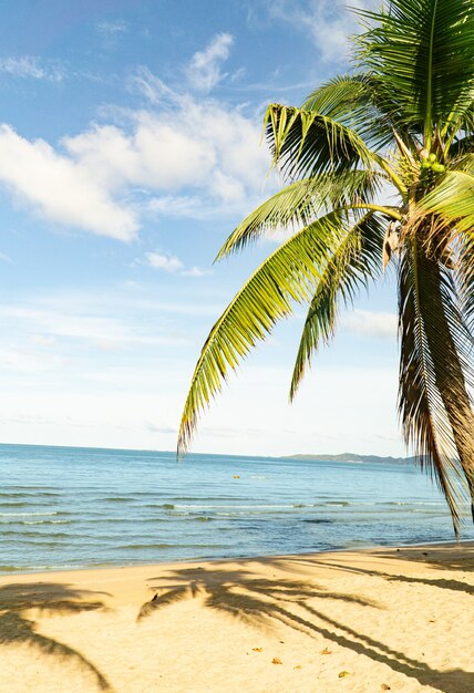 Paraíso de vacaciones tropical con playas de arena blanca Hoja de palmera de coco