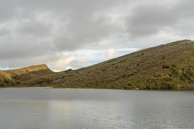 Foto paramo de chingaza na colômbia frailejones espeletia grandiflora flores endêmicas do paramo da américa do sul o lago de siecha