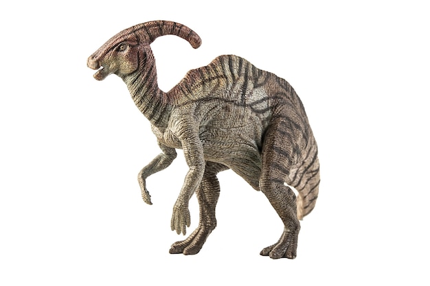 Parasaurolophus Dinosaurier auf weißem Hintergrund.