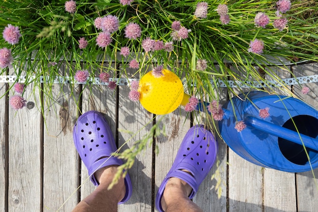 Parcela colorida con una regadera de zapatos de colores y Cebollino