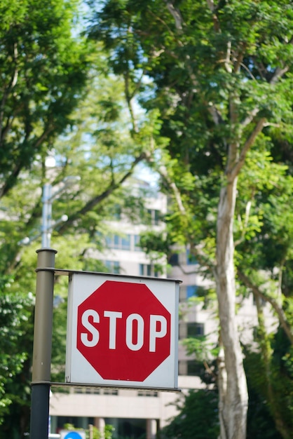 Pare o sinal em uma estrada vazia