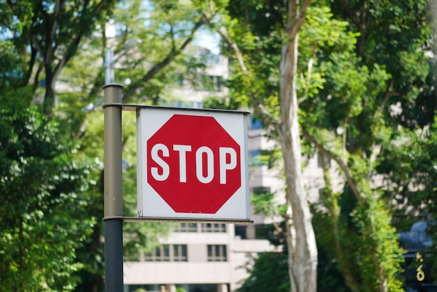 Pare o sinal em uma estrada vazia