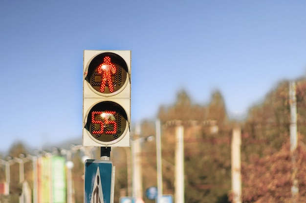 Pare el semáforo con cronómetro