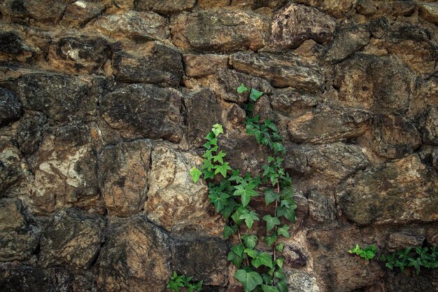 Pared antigua marrón. Fondo de ladrillo