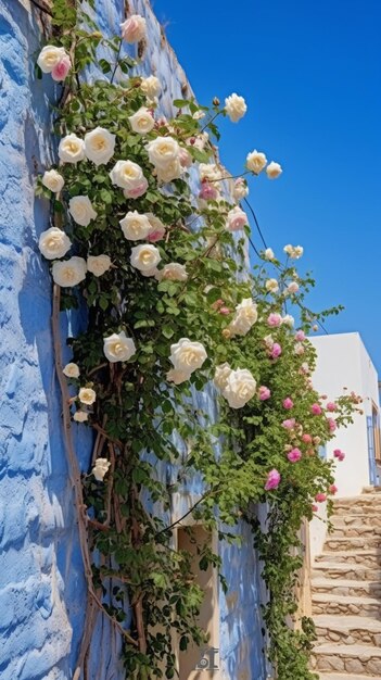 Una pared azul con rosas