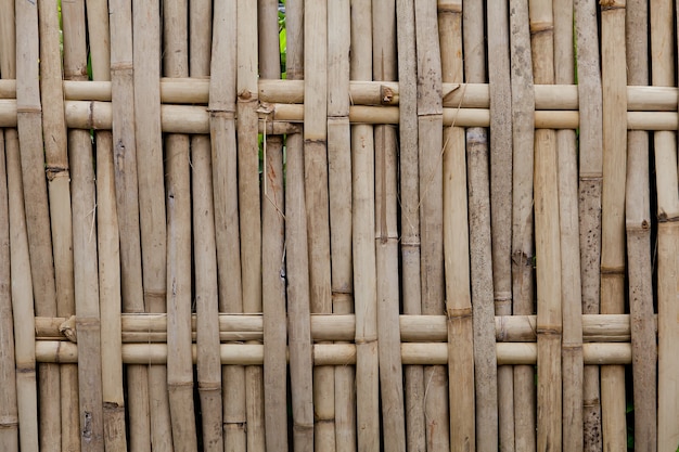 Pared de bambú tropical para el fondo y la textura