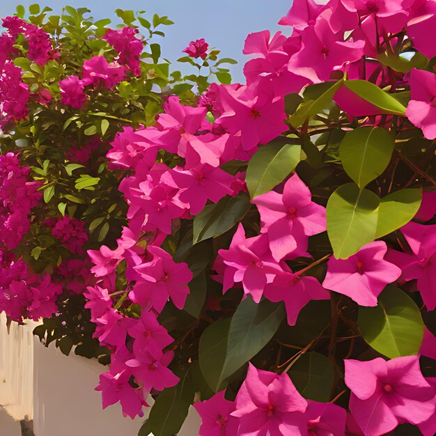 Foto una pared blanca con flores púrpuras y hojas verdes