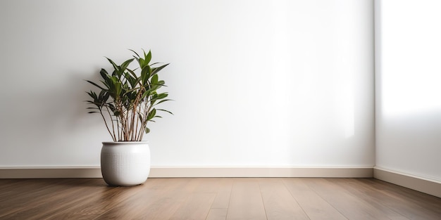 Una pared blanca con una planta en una maceta blanca.