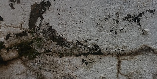 Pared blanca con puntos negros