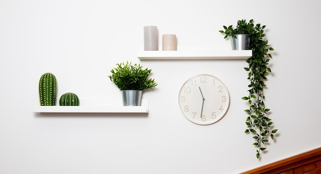 Una pared blanca con un reloj y plantas.